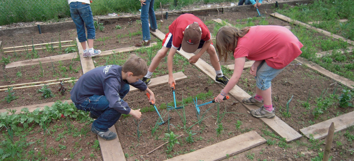 Gelebte Biodiversität