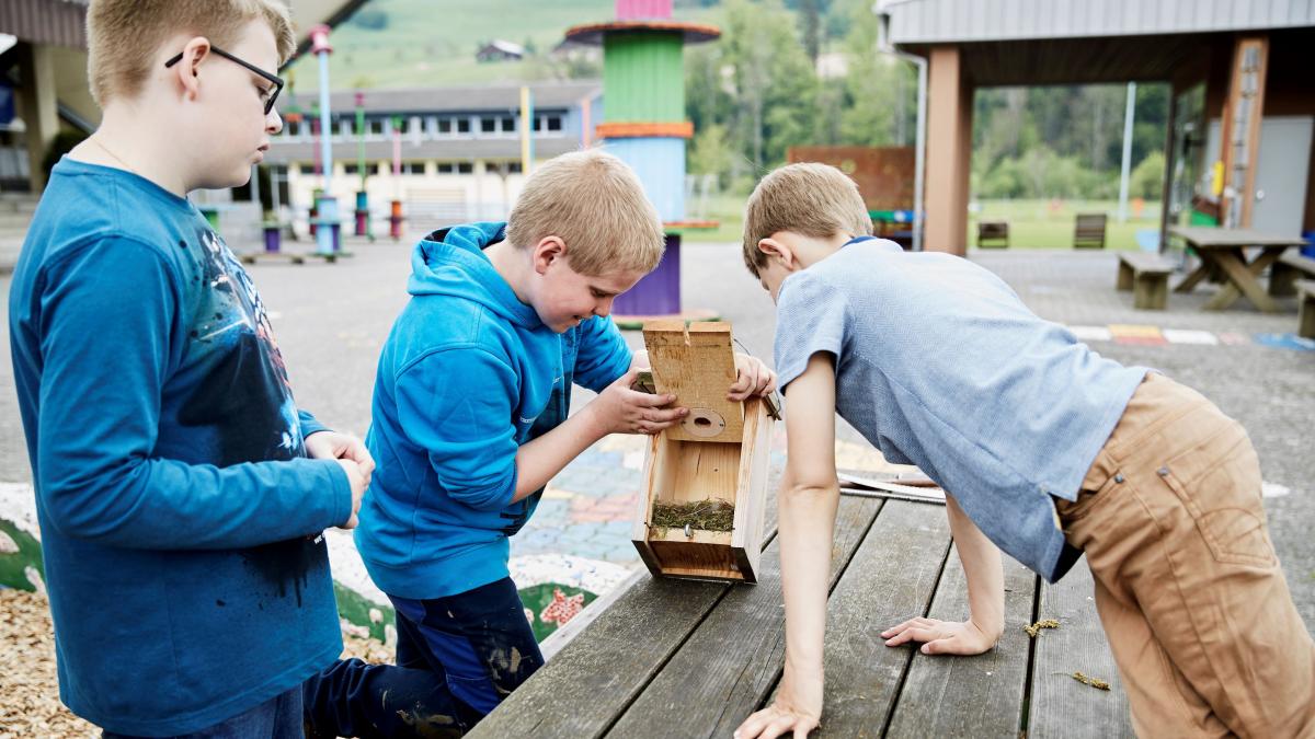 Lernende der Schule Gettnau bauen ein Vogelhaus
