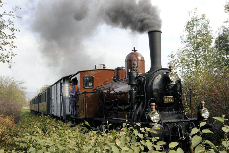 Die Dampflokomotive E 3/3 8463 