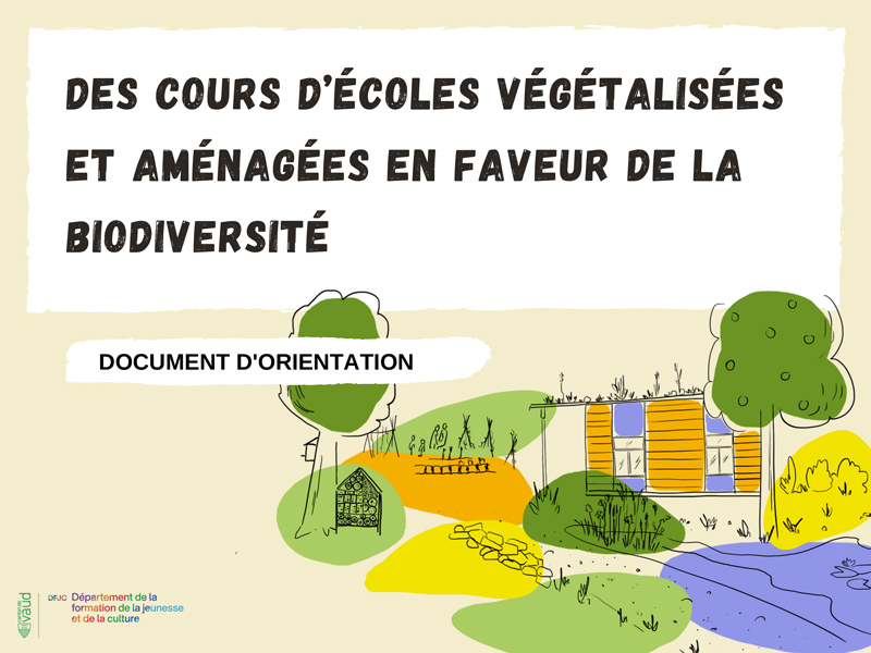 Des cours d'école végétalisées